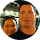 DARRELL MAR Avatar